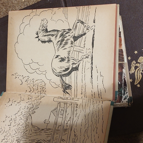 Robin Hood by Howard Pyle, Black Beauty Anna Sewell Whitman Publishing Company - Picture 10 of 14